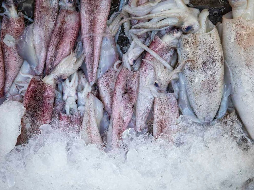 魷魚(yú)保水劑 魷魚(yú)保水劑