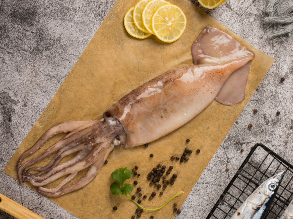 魷魚(yú)保水劑 魷魚(yú)保水劑